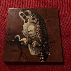 6 Owl Coasters